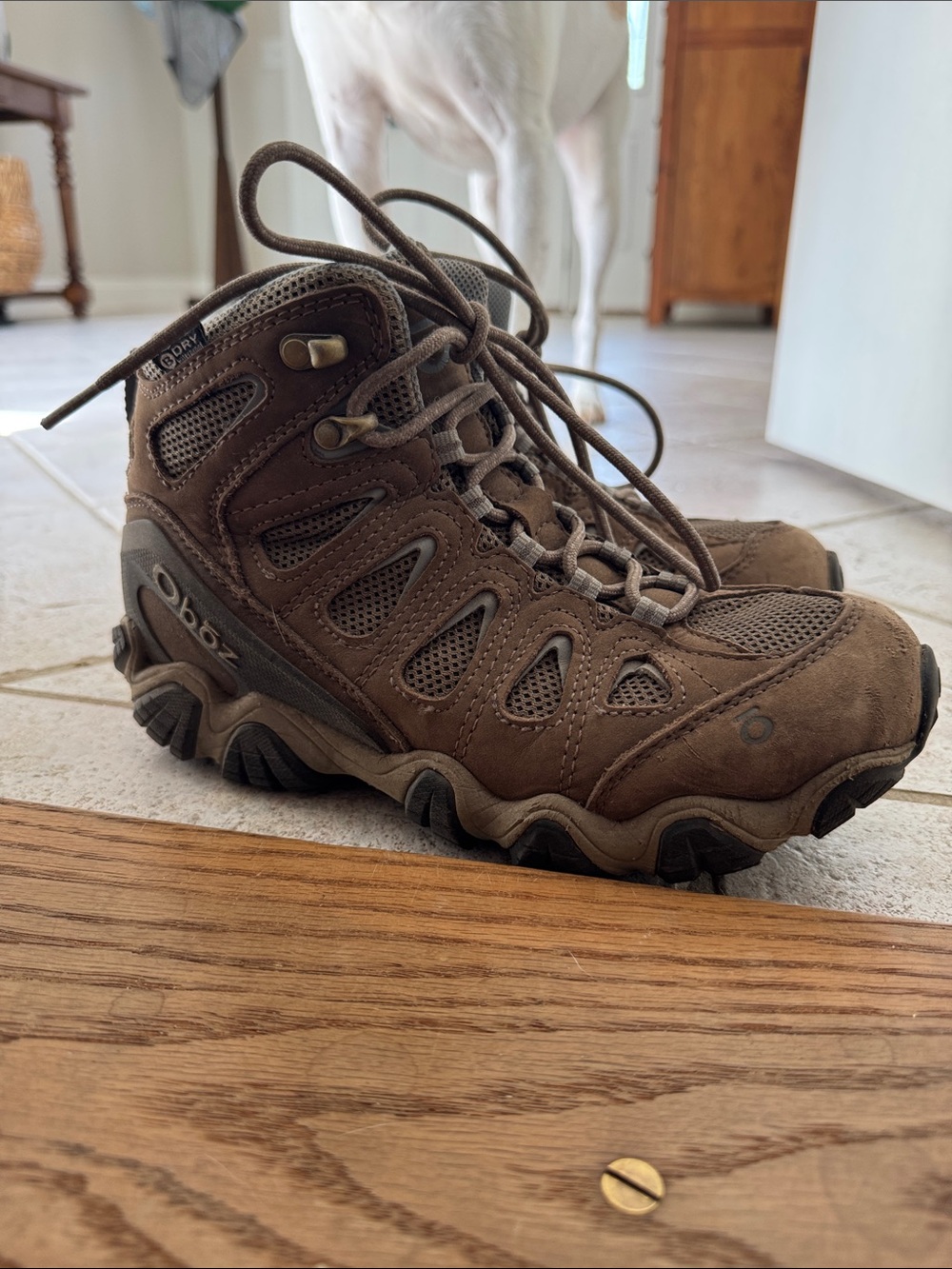 Women’s Brown Waterproof Hiking Boots